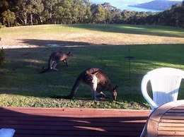 Lorne Bush House Cottages & Eco Retreats