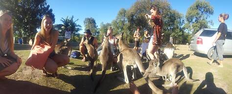 Escape 1770- Adults Only