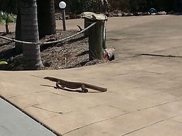 Escape 1770- Adults Only