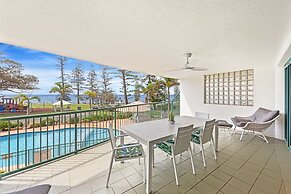 Norfolks on Moffat Beach