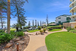 Norfolks on Moffat Beach