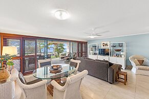 Norfolks on Moffat Beach