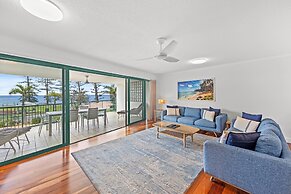 Norfolks on Moffat Beach