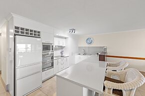 Norfolks on Moffat Beach