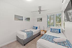 Norfolks on Moffat Beach