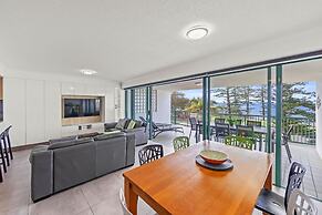 Norfolks on Moffat Beach