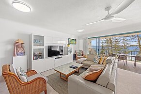 Norfolks on Moffat Beach