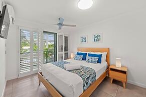 Norfolks on Moffat Beach