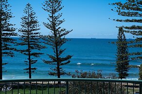 Norfolks on Moffat Beach