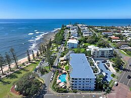 Norfolks on Moffat Beach