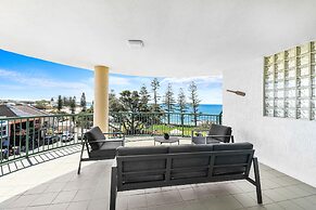 Norfolks on Moffat Beach