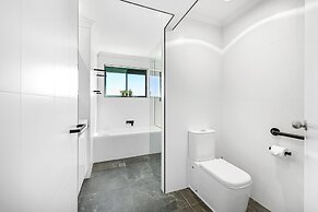 Norfolks on Moffat Beach