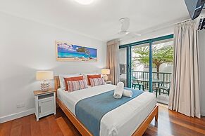 Norfolks on Moffat Beach