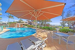 Norfolks on Moffat Beach