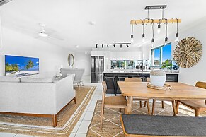 Norfolks on Moffat Beach