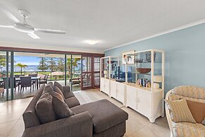 Norfolks on Moffat Beach