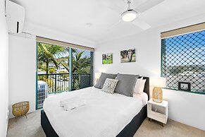 Norfolks on Moffat Beach