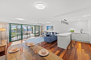 Norfolks on Moffat Beach