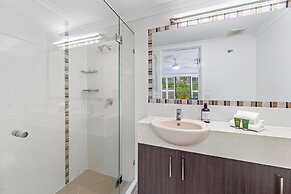 Norfolks on Moffat Beach