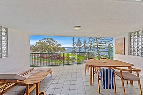 Norfolks on Moffat Beach