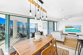 Norfolks on Moffat Beach