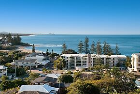 Norfolks on Moffat Beach