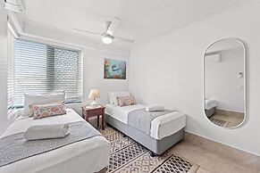 Norfolks on Moffat Beach