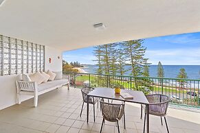 Norfolks on Moffat Beach