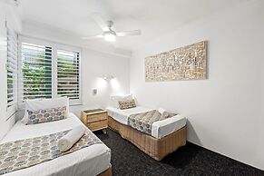 Norfolks on Moffat Beach