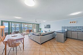 Norfolks on Moffat Beach