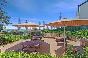 Norfolks on Moffat Beach