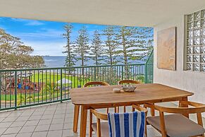 Norfolks on Moffat Beach