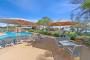 Norfolks on Moffat Beach