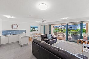 Norfolks on Moffat Beach