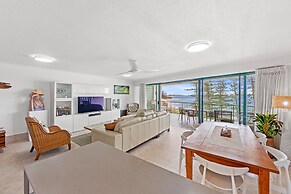 Norfolks on Moffat Beach