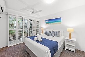 Norfolks on Moffat Beach