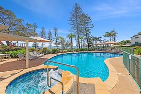 Norfolks on Moffat Beach