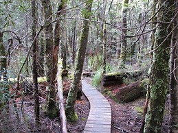 Derwent Bridge Chalets & Studios