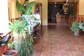 Los Caños de la Alcaiceria