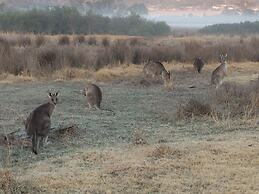 Idlewilde Country & Town Motorinn