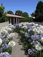 Begonia City Motor Inn