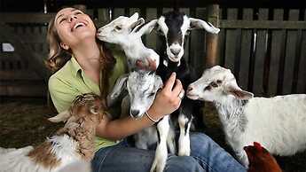 Sleepy Hill Motor Inn