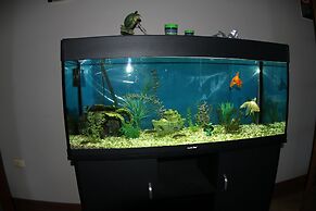 Sleepy Hill Motor Inn