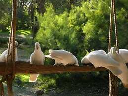 The Burrow At Wombat Bend