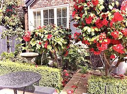 Kurrajong House Launceston