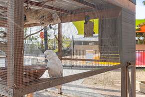 Ingenia Holidays One Mile Beach