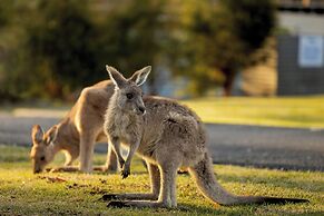 Big4 South Durras Holiday Park