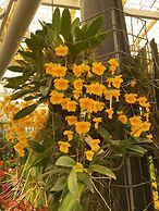 BIG4 Mackay Blacks Beach Holiday Park