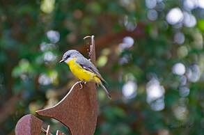 BIG4 Mackay Blacks Beach Holiday Park