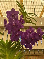 BIG4 Mackay Blacks Beach Holiday Park